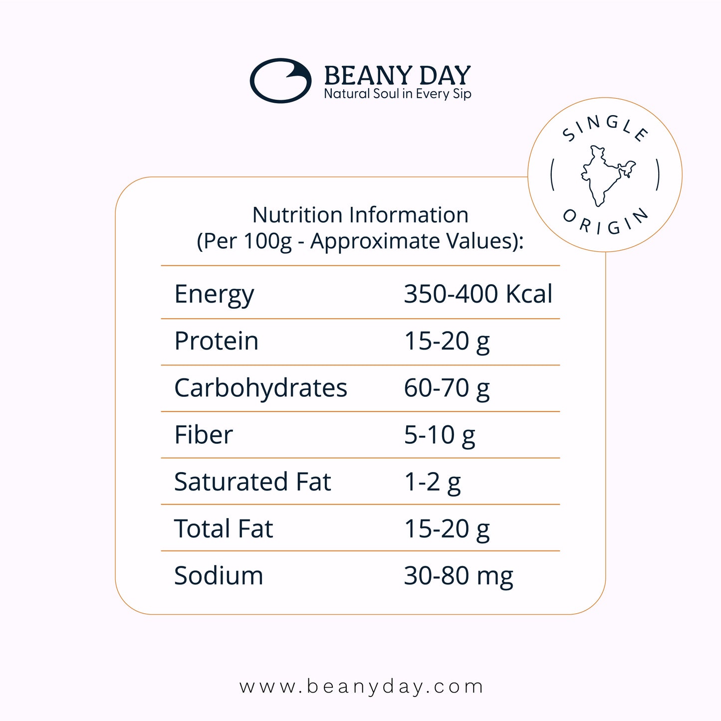 Premium Instant Coffee Powder (80gm)