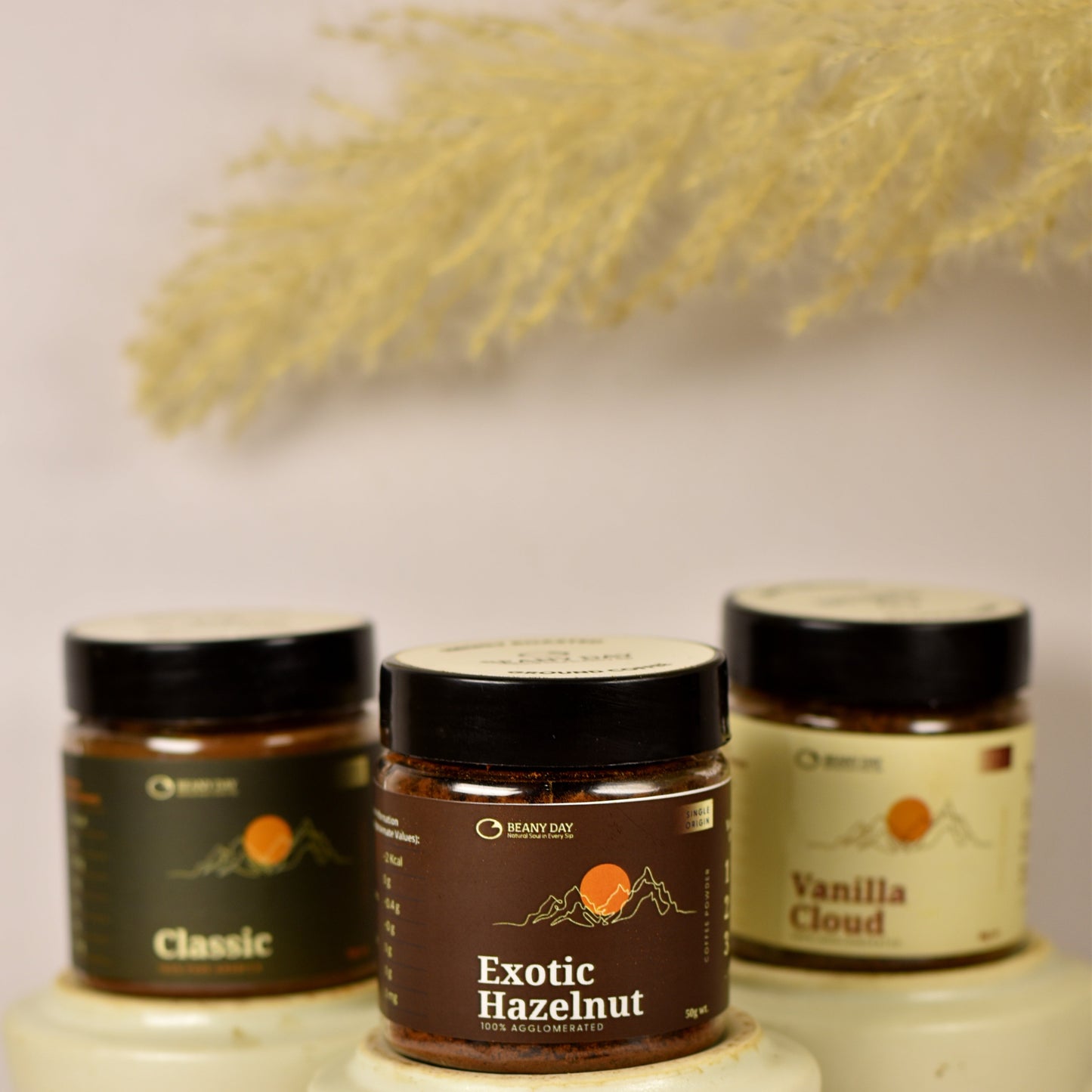 Instant Coffee Powder Hazelnut, Vanilla & Classic Combo, Pack Of 3 (150 gm) (Free Frother)